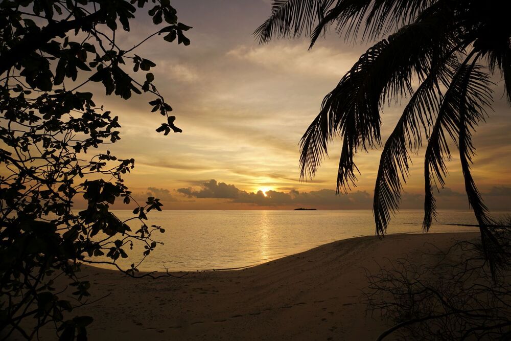 Coco Palm Dhuni Kolhu — photo 6
