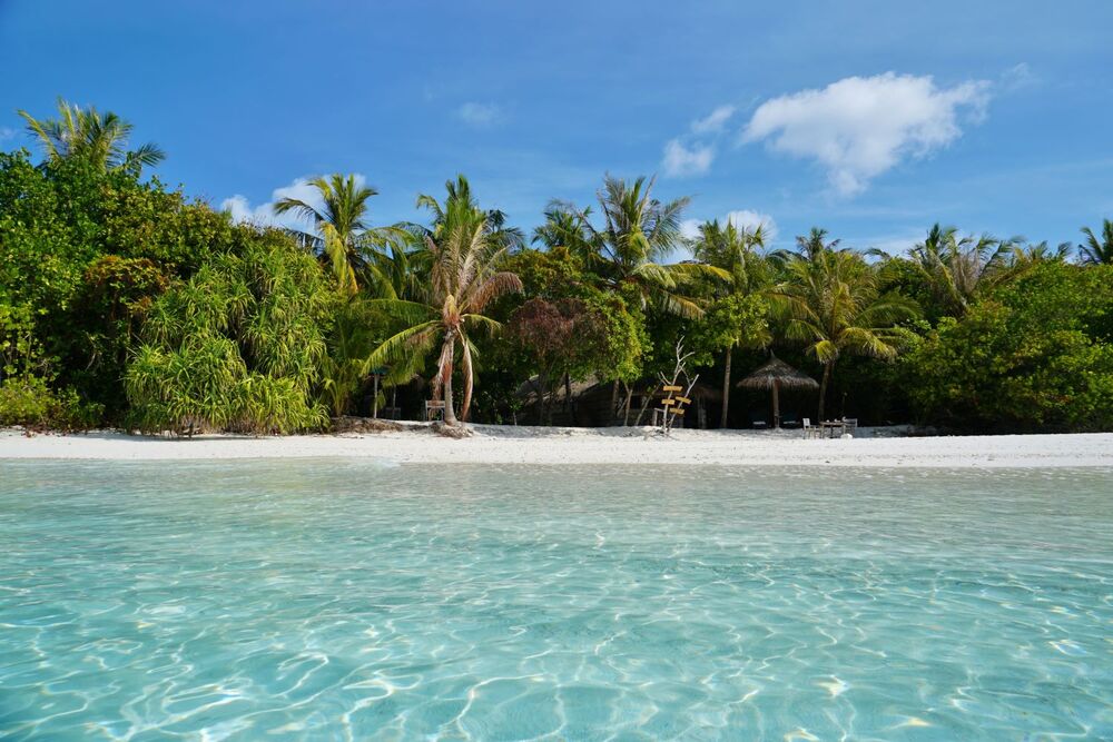 Coco Palm Dhuni Kolhu — photo 7