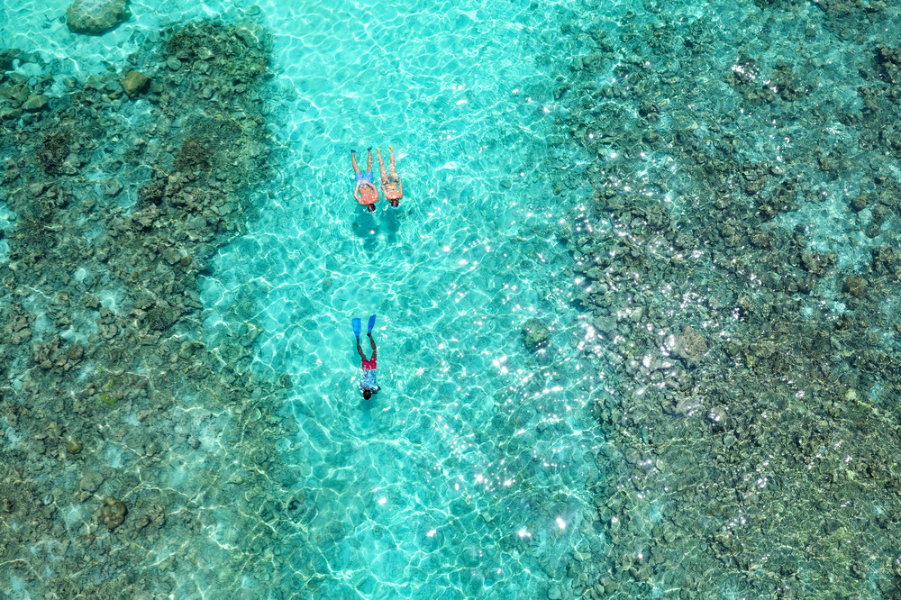 Embudu Village — photo 6
