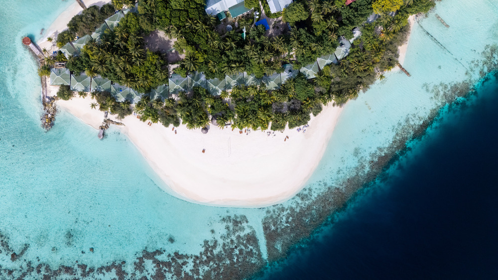 Eriyadu Maldives — photo 8