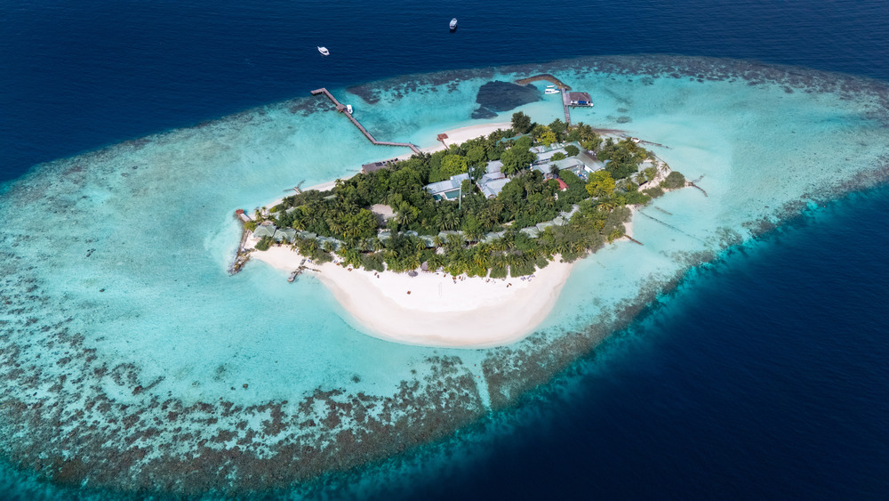 Eriyadu Maldives — photo 9