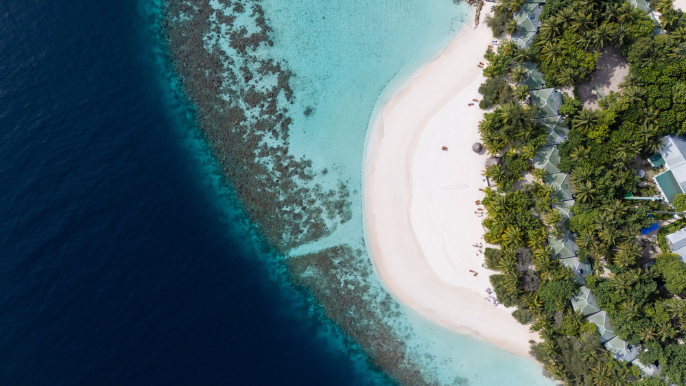 Eriyadu Maldives — photo 10