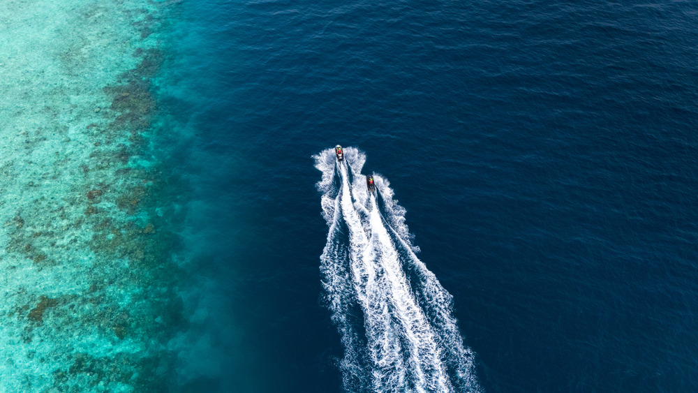 Eriyadu Maldives — photo 11