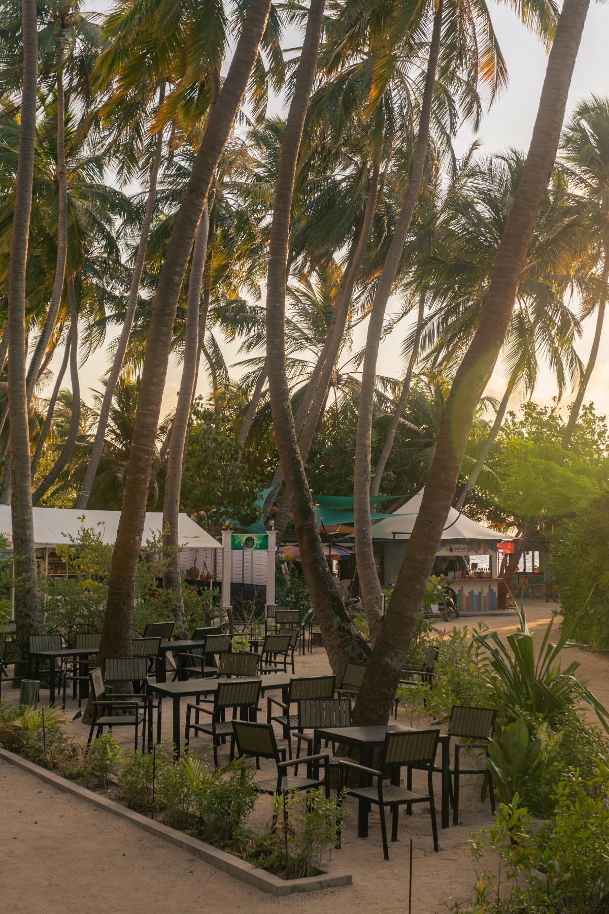 Kaani Grand Seaview — photo 9